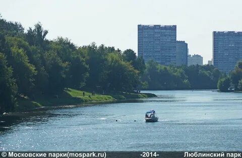 Аренда люблинский парк