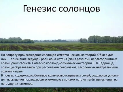 Генезис почв