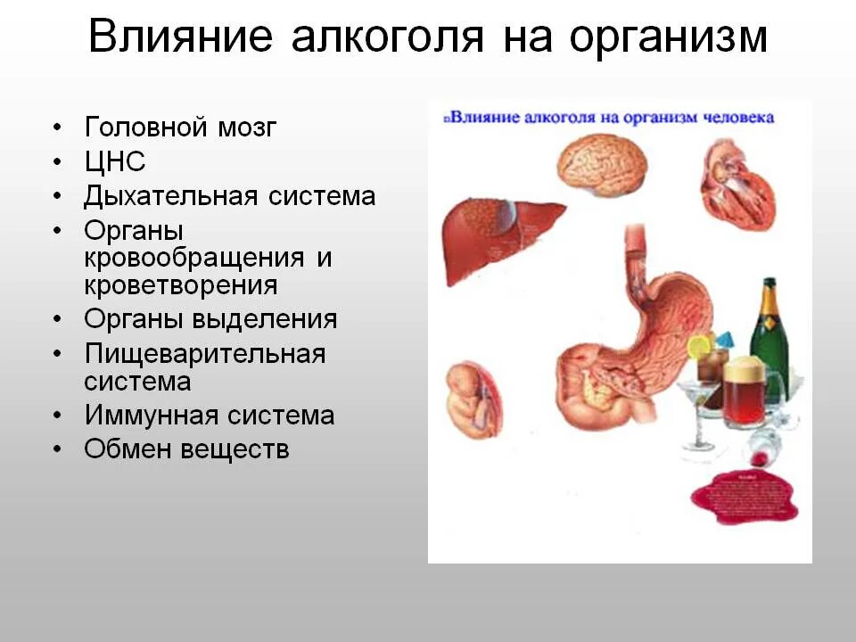 Заболевания вызванные алкоголем. Влияния алкаголя на арганизм.