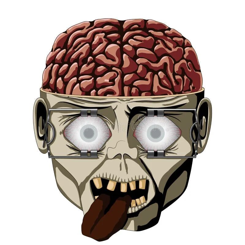 Zombie brain. Мозг человека в открытом черепе.