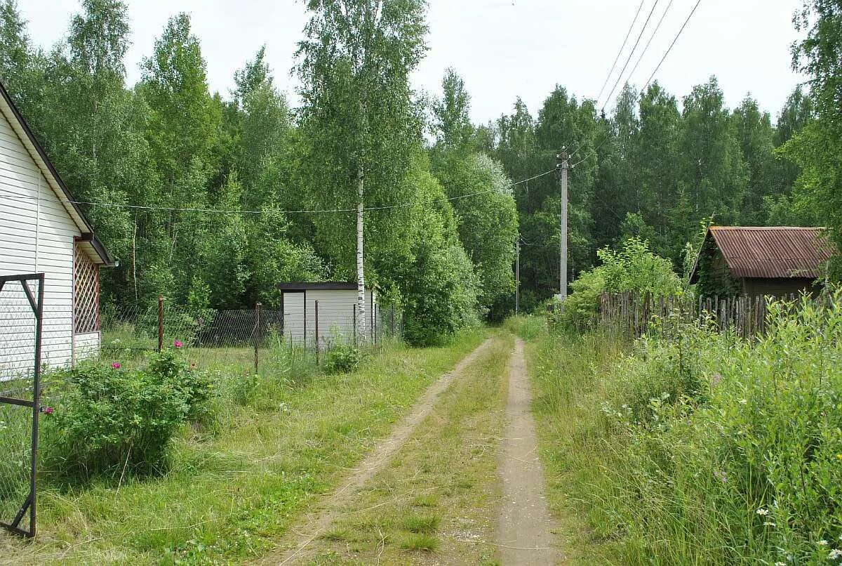 Садовое некоммерческое товарищество (СНТ). СНТ Раздолье Наро-Фоминский район. СНТ Нечаево Наро-Фоминский район.