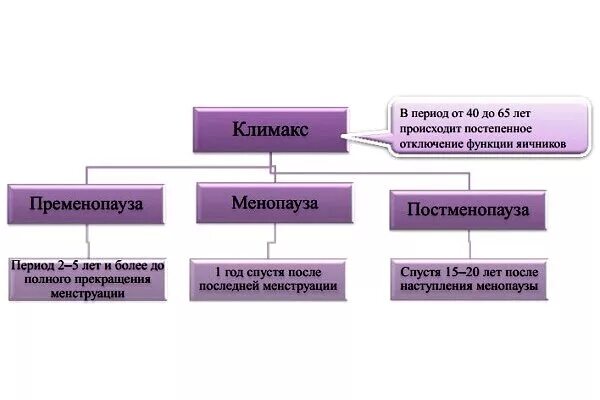 Пременопауза менопауза постменопауза. Периоды климакса у женщин. Фазы климактерического периода у женщин. Климактерический период схема.