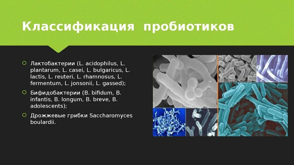 Какие бифидобактерии. Пробиотики лактобактерии и бифидобактерии. Пробиотики пребиотики лактобактерии бифидобактерии. Классификация пробиотиков. Пробиотики препараты микробиология.