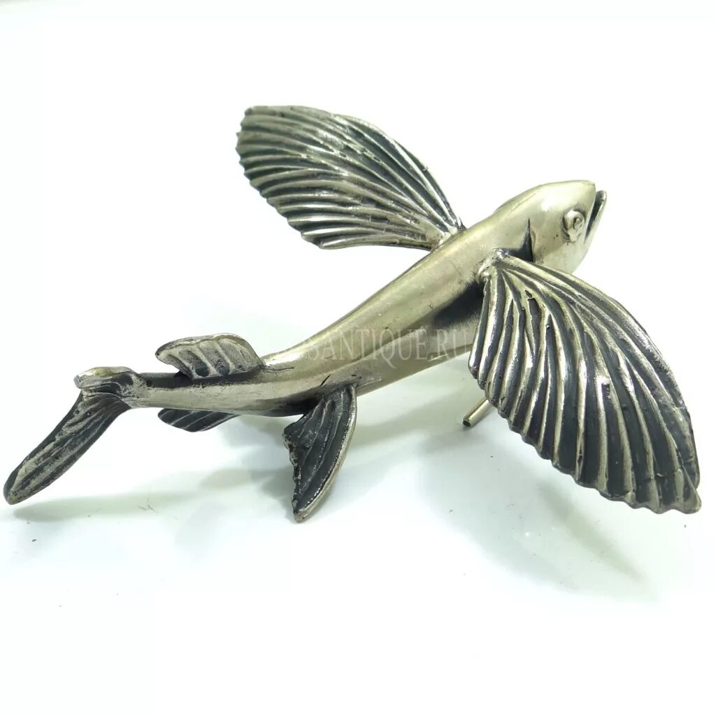 Летучая рыба цена. Летучая рыба. Рыба скульптура. Четырехкрылая летучая рыба. Скелет летучей рыбы.