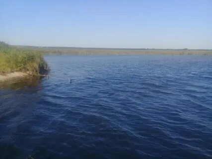 Староминская сосыка