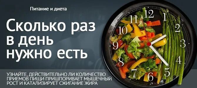 Едите три раза в день. Сколько нужно питаться в день. Количество приемов пищи в день. Сколько раз в день нужно есть. Сколько нужно кушать в день.