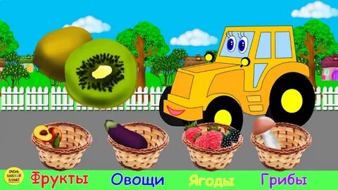 Овощи и фрукты видео для детей развивающие