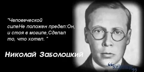Цитаты заболоцкого
