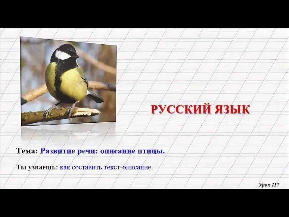 4 класс русский язык 117 урок. Урок 117 русский язык 3 класс. Узнай птицу по описанию. Как понять язык птиц.