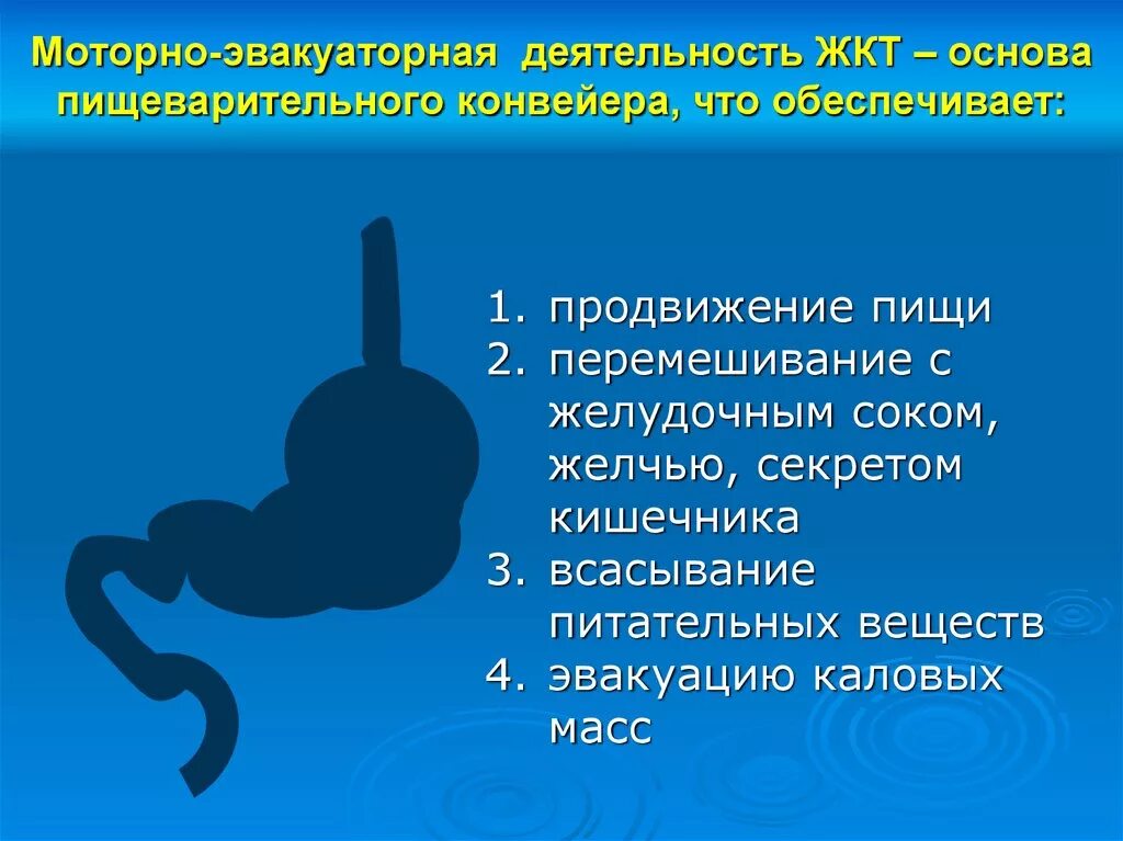 Моторная и эвакуаторная деятельность желудка. Моторная деятельность ЖКТ. Эвакуаторная деятельность желудка. Эвакуаторная деятельность желудка ее регуляция