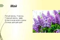 5 6 май май. Май близко. 5 6 май май. Здравствуй май. Слово май май.
