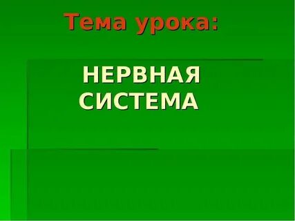 Урок нервная система животных