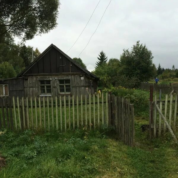 Торбино новгородской. Деревня оксочи. Торбино новгородской. Торбино новгородская область. Торбино новгородская область.