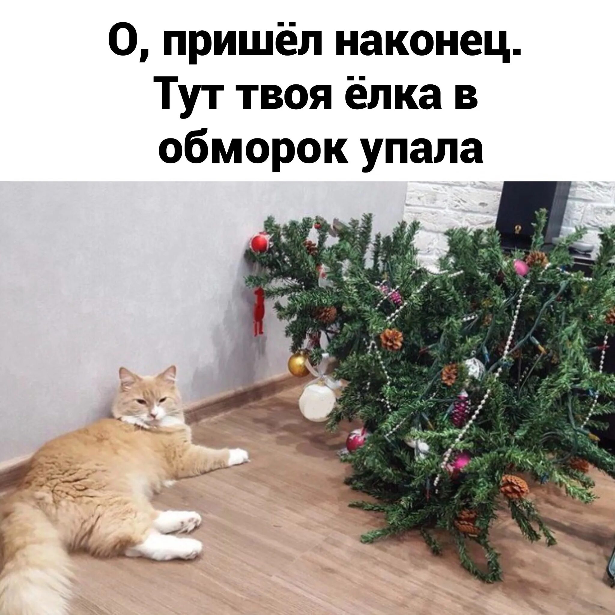 Кто оставил сашку под елкой конечно мегамаркет