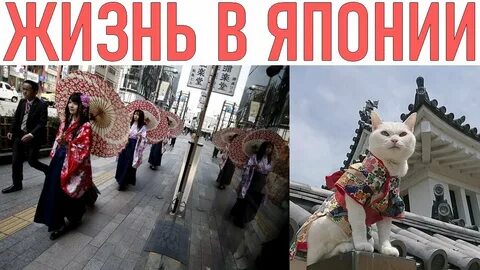 13 япония