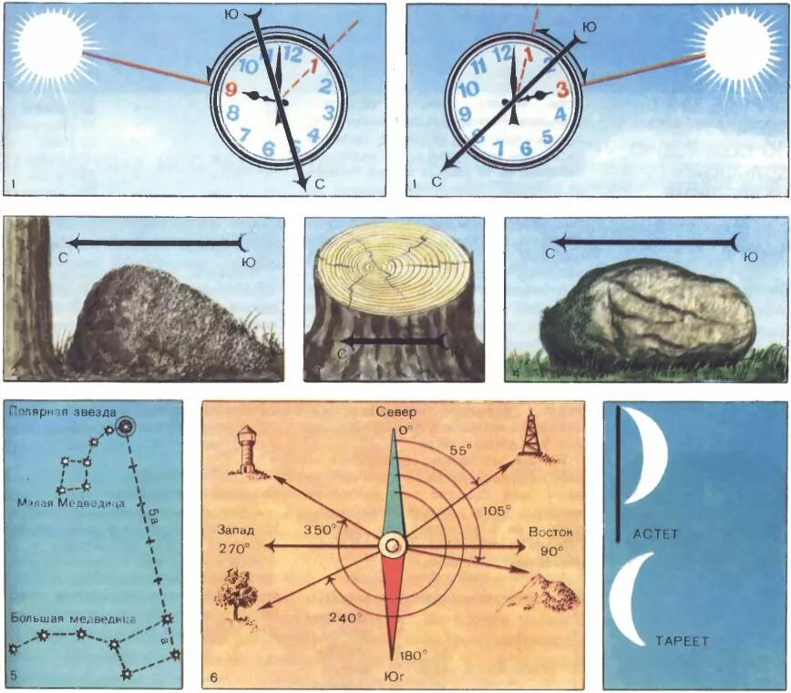 Природные признаки сторон света. Ориентирование по местности по солнцу. Способы ориентирования на местности. Предметы для ориентирования на местности. Ориентирование по солнцу на местности без компаса.