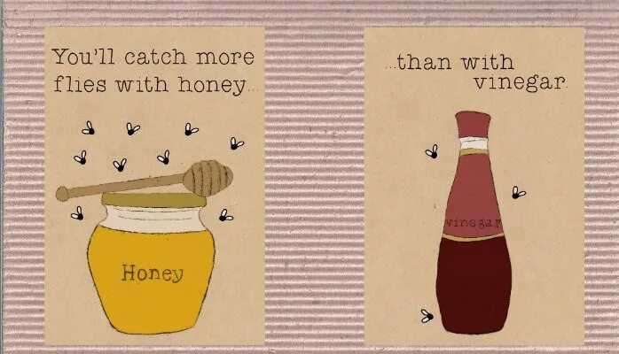 You catch more Flies with Honey than with Vinegar. Картинка you catch more Flies with Honey than. Honey Honey idioms. Honey фразы.