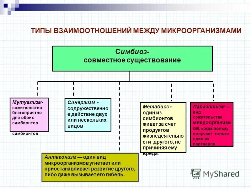 Примером нахлебничества могут служить взаимоотношения 1 аскариды и человека - фо