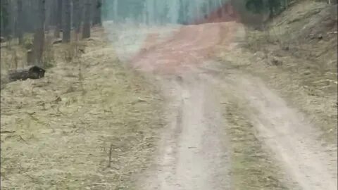 Закрытие дорог смоленская область