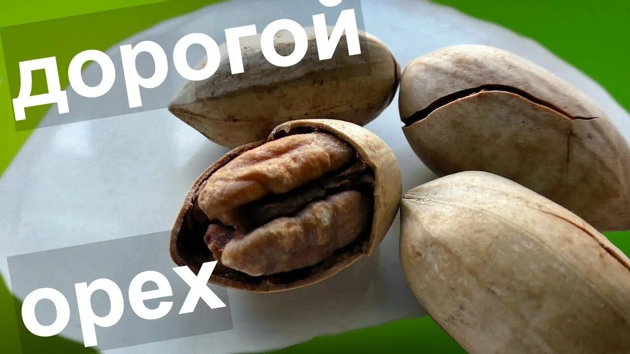 Почему орехи такие дорогие. Макадамия и пекан. дорогие орешки. самый дорогой орех в мире. орехи пекан и макадамия.