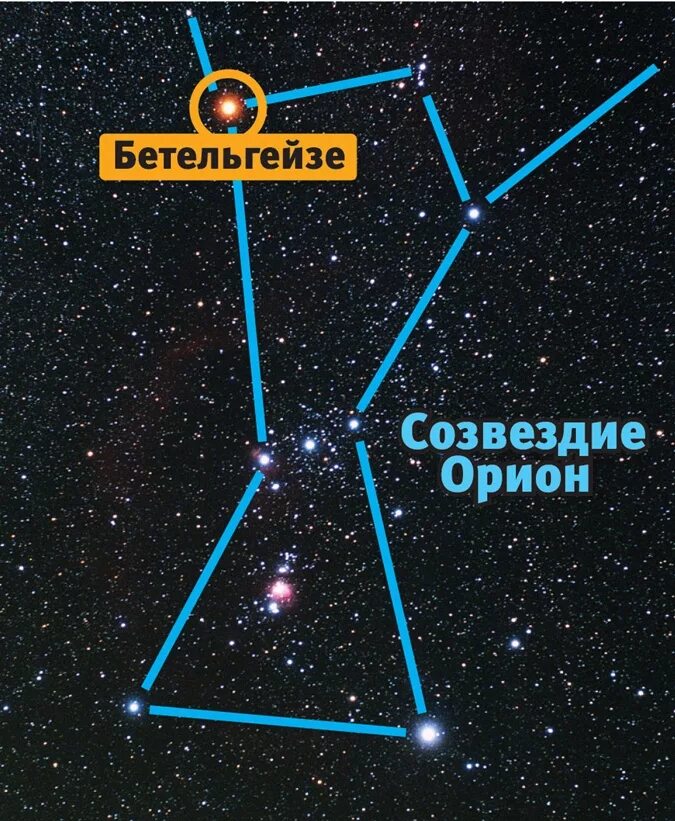 Созвездия яркость звезд. Звезда Бетельгейзе в созвездии Ориона. Бетельгейзе ригель Беллатрикс в созвездии Ориона. Созвездие Орион Бетельгейзе ригель. Самая яркая звезда в созвездии Орион.