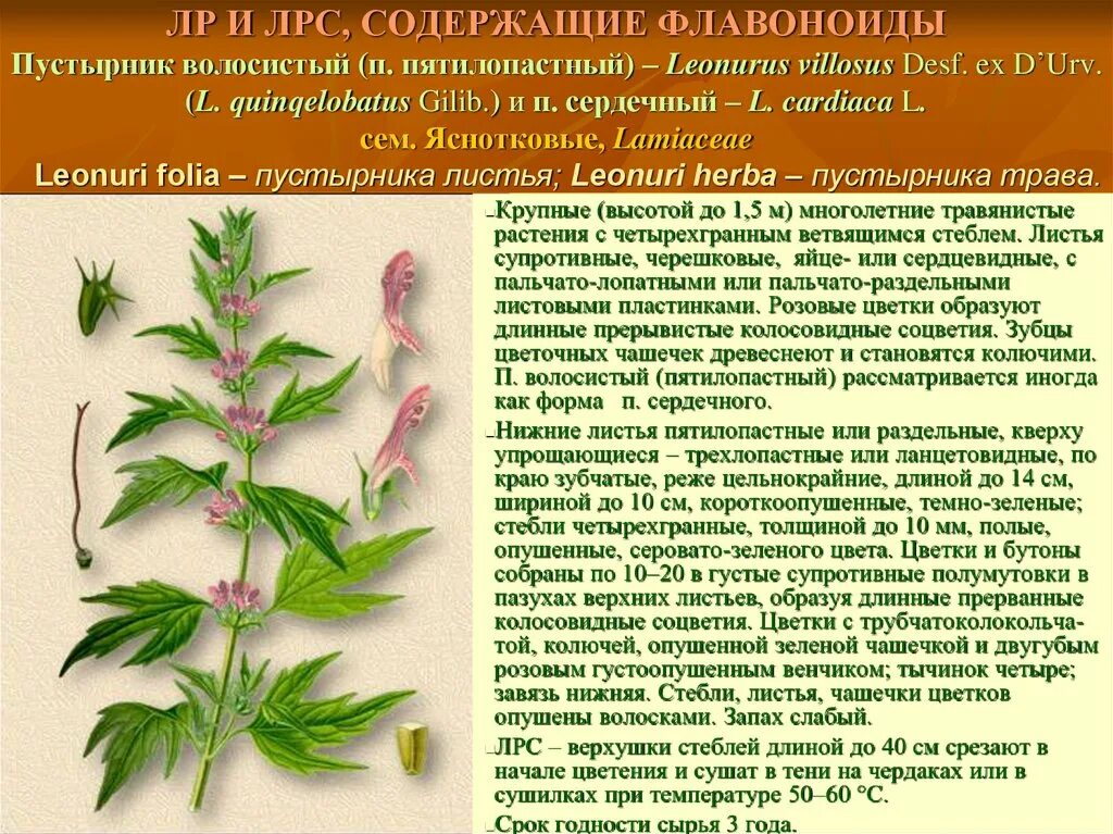 Флавоноиды содержат