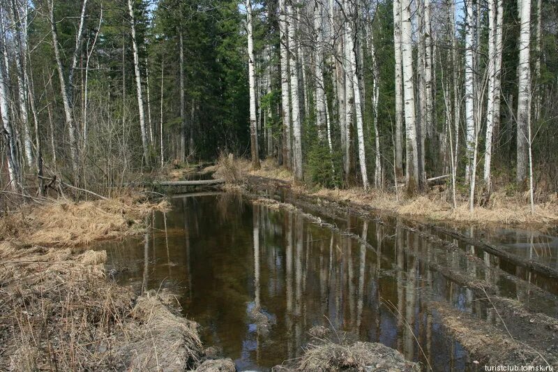 томский област бакчара томской. бакчарский краеведческий музей северного садоводства. томская область бакчарский район село. музей бакчарского района. поротников бакчарский район.