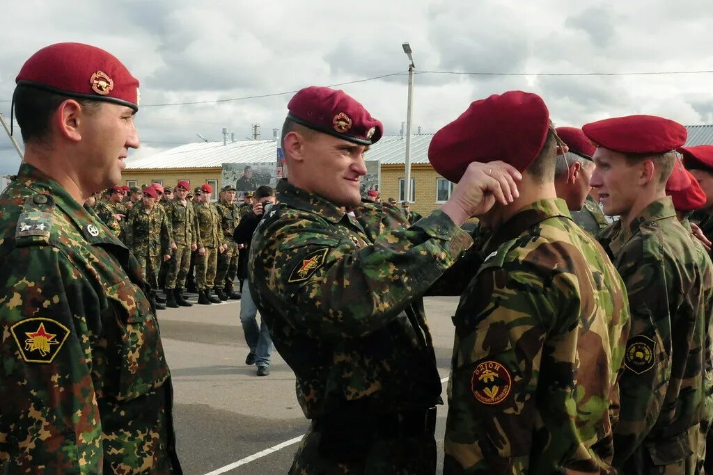 На краповом погоне