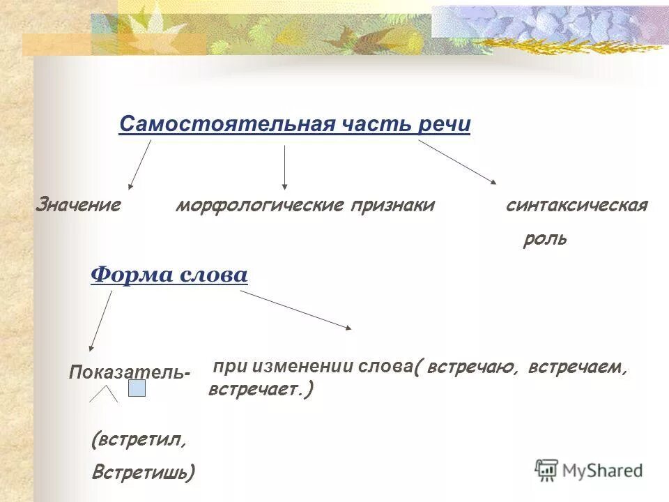 Синтаксическая роль полных и кратких