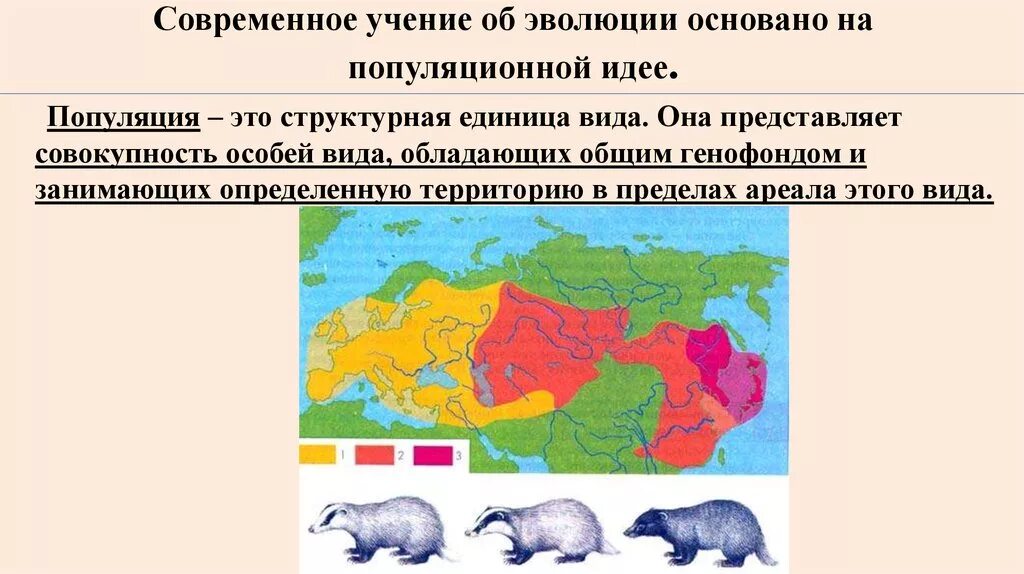 Органический мир нашей планеты подразделяется на. Современные эволюционные представления.