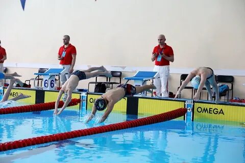 Золотая рыбка владивосток