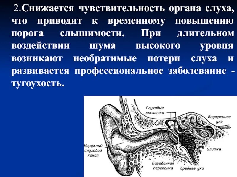 Чувствительность органа слуха. Влияние шума на слуховой анализатор. Воздействие на органы слуха. Профессиональные заболевания органов слуха.