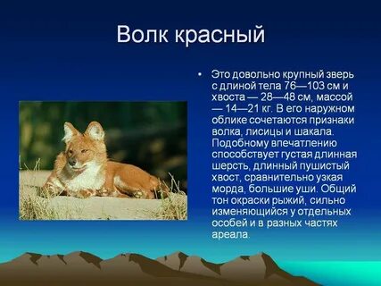 Небольшой доклад про