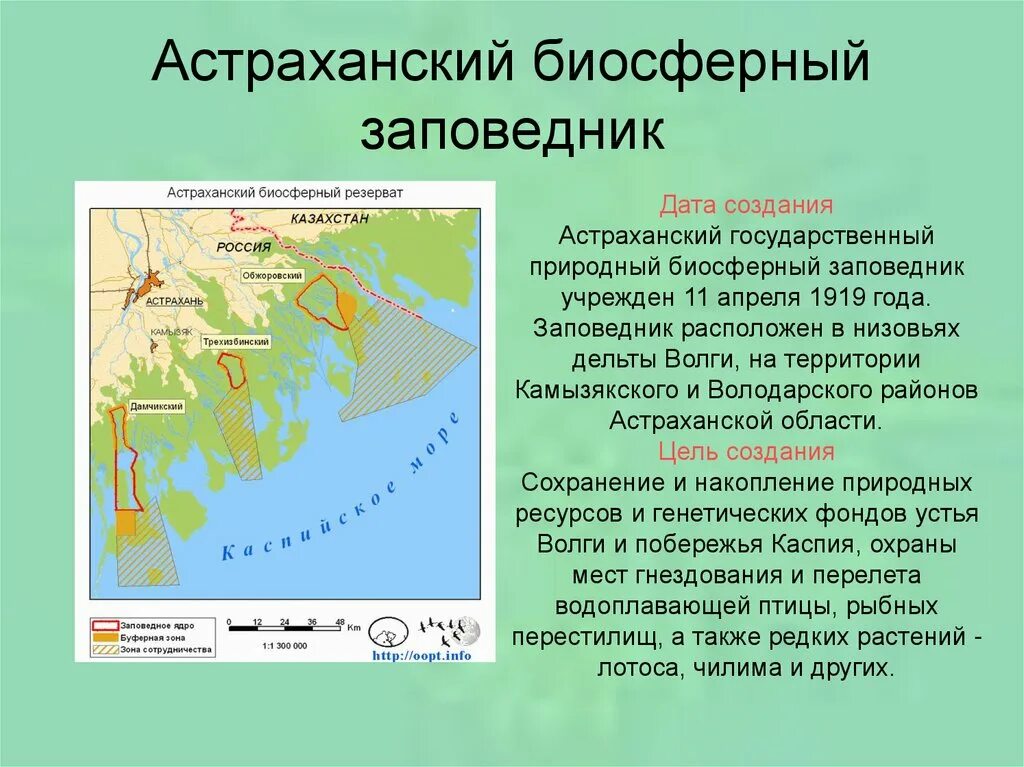 Астраханский заповедник местоположение и особенности. Расположение Астраханского заповедника на карте. Астраханский государственный природный биосферный заповедник карта. Астраханский заповедник расположен на карте России.