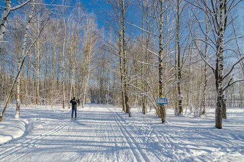 Лыжная трасса рядом