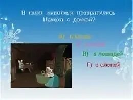 Двенадцать месяцев вопросы