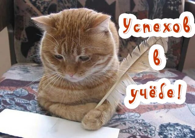 Желаю успехов в учебе. Хорошего дня успехов в учебе. Хорошего дня успехов в учебе. Поздравляем с успехами в учебе. Хорошего дня успехов в учебе.