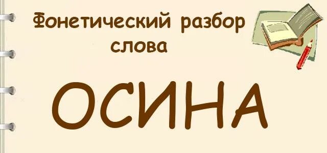 Разбор слова осиновый. Осина фонетический разбор. Осина фонетика. Звуковой анализ слова осина. Осина звуко буквенный разбор.