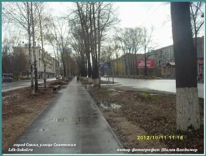 Сокол улицы