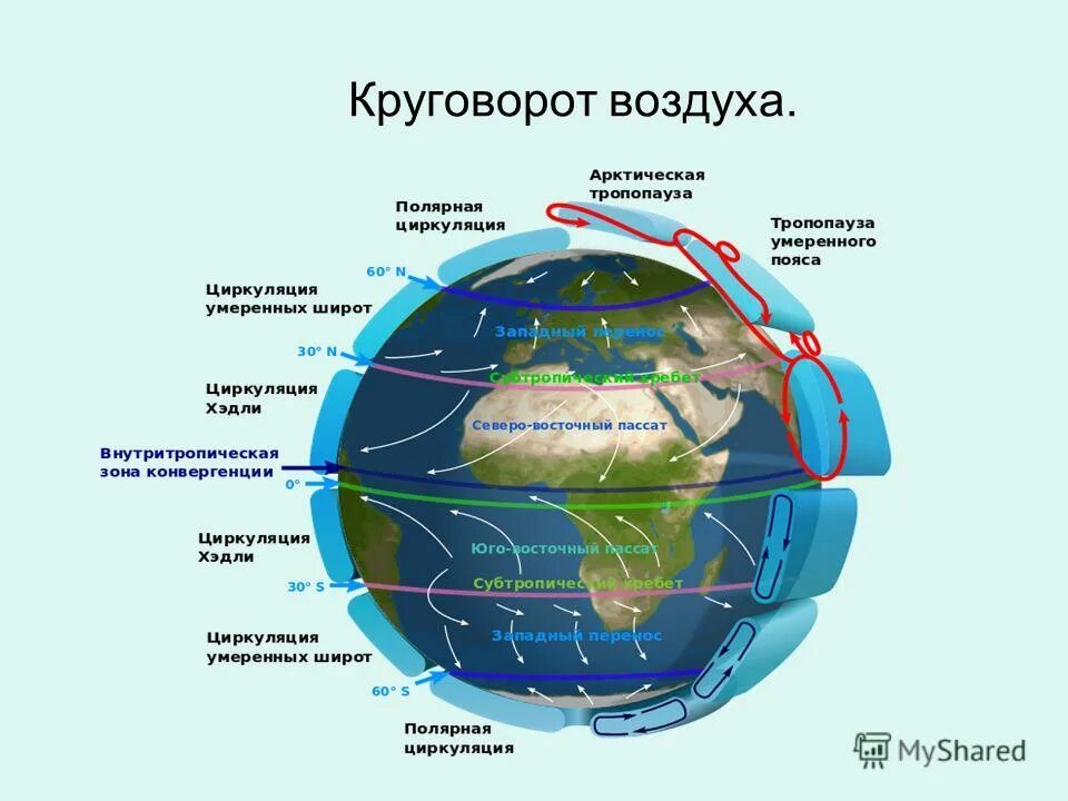 Давление воздуха и осадки на разных широтах. Схема общей циркуляции атмосферы на земле. Какое движение воздуха на экваторе. Круговорот воздуха в тропосфере. Какое движение воздуха на экваторе.
