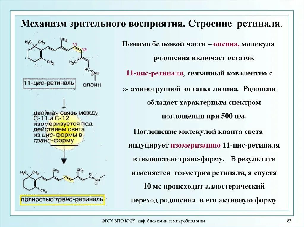 Родопсин опсин 11 цис ретиналь. Цис биохимия. Родопсин структура. Цис ретиналь и транс ретиналь. Цис бутан