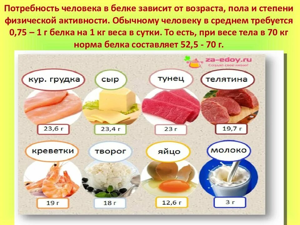 Сколько грамм белка есть. Суточная потребность белков. потребность человека в белках. суточная потребность человека в белках. потребность в белках в зависимости от возраста.