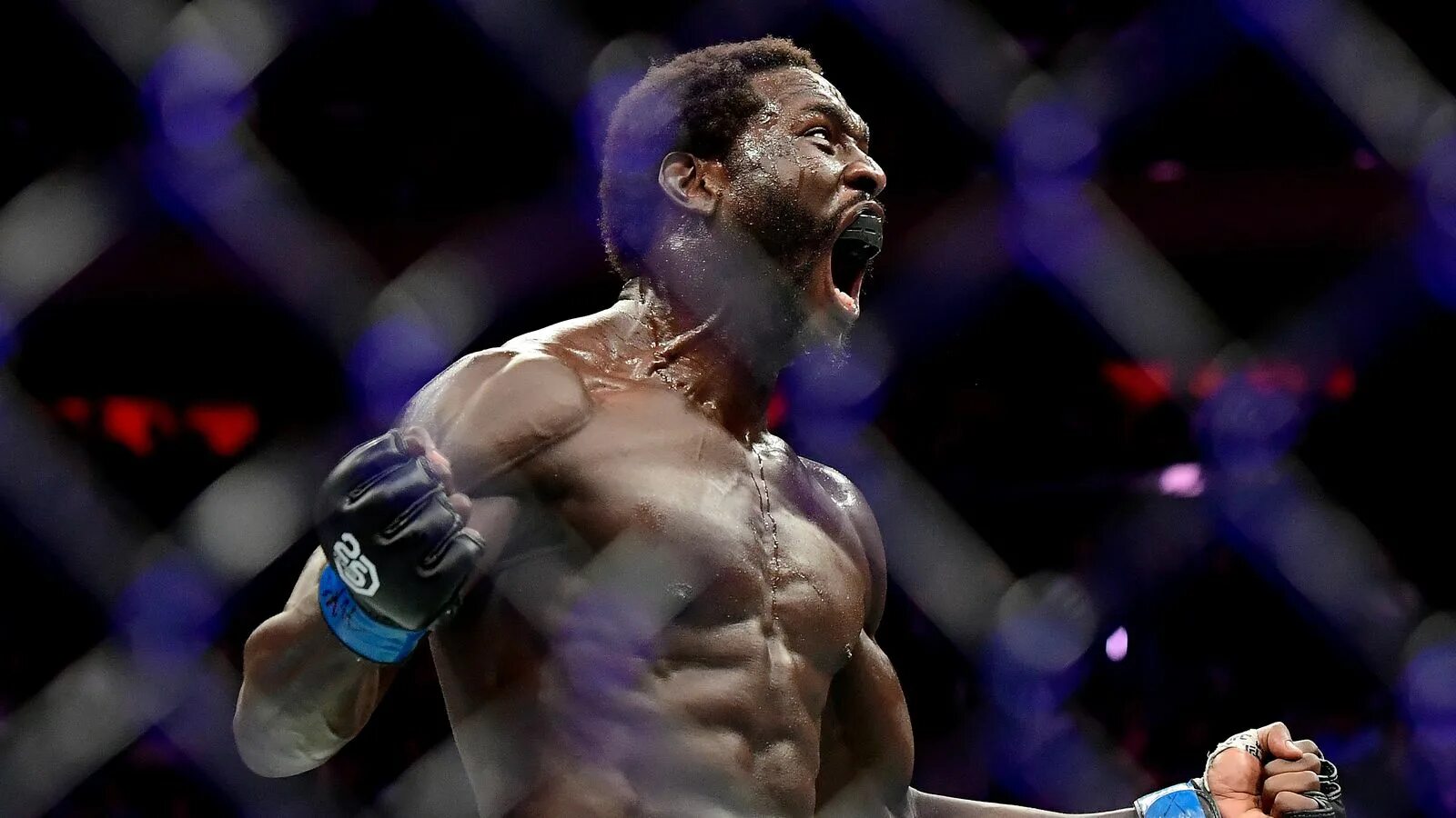 Jared cannonier. Джаред канонир. Джаред каннонье. Jared cannonier. Джаред канонир.