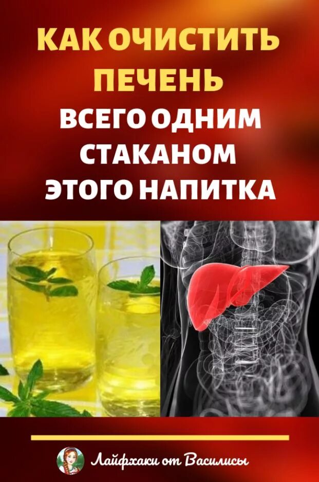 Фитотерапия органов пищеварения. Домашнее лечение печени. Как очистить печень. Народные средства для печени. Чистка печени народными средствами.