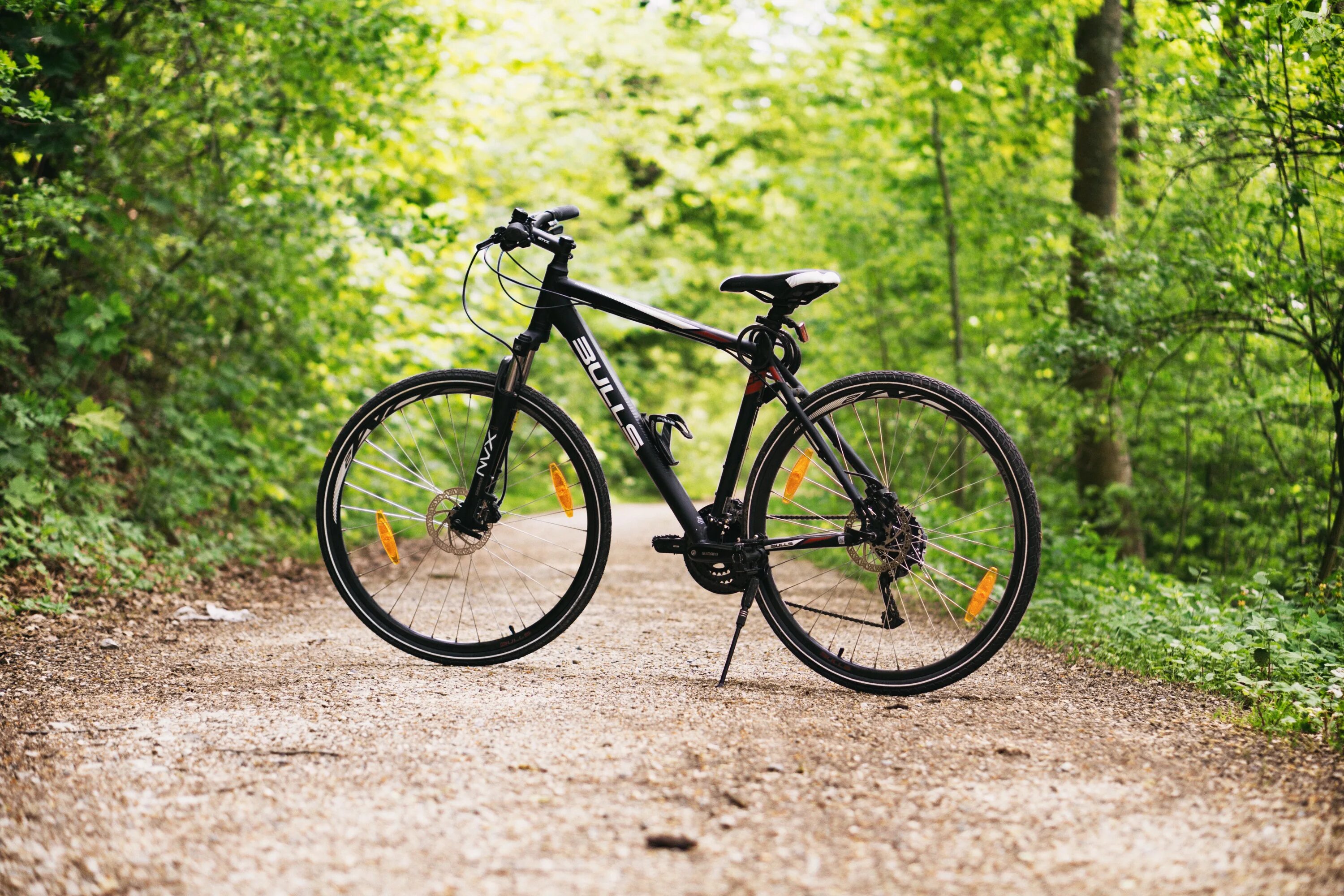 Bike сайт. Велосипед geler MTB Bike. Велосипед Horn Forest 27.5. Storck Scenero. Велосипед на фоне природы.