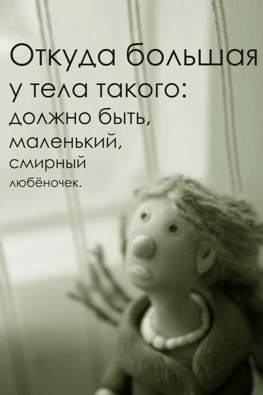 Мысль мечтающую на размягченном мозгу