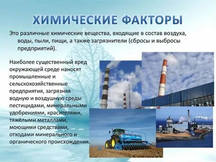 Характеристика химического фактора