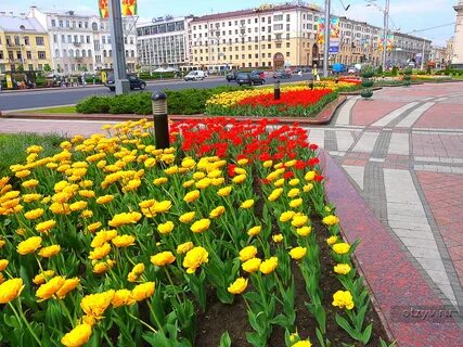 Выходные в минске
