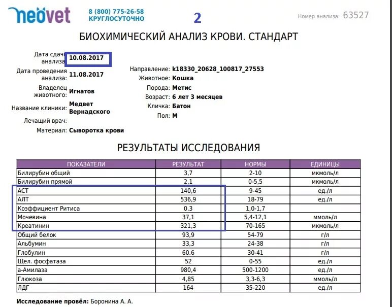 Через сколько после акта сдавать анализы. Анализ на биохимическое исследование. Биохимия крови. Биохимическое исследование крови показатель нb. Анализ крови на биохимию направление.