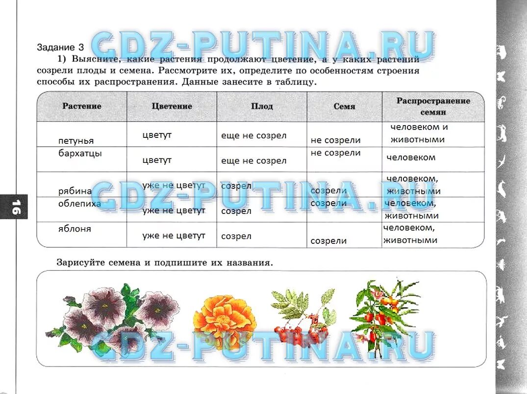 Картинки ЗАДАНИЕ ЗАПОЛНИТЬ ТАБЛИЦУ БИОЛОГИИ